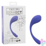 Calexotics Connect Kegel Exerciser - Periwinkle - Image 8