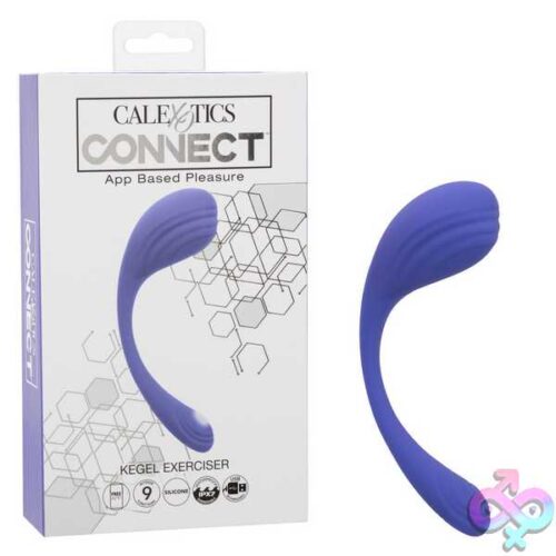 Calexotics Connect Kegel Exerciser - Periwinkle - Image 8