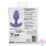 Calexotics Connect Tapered Probe - Purple