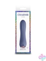 Charms Fern compact gray silicone bullet vibrator with LED heart button by Ns Novelties