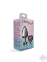 Anal Plugs for Anal