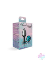 Anal Plugs for Anal