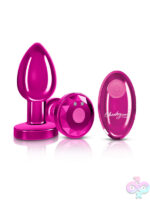 Remote Controlled Anal Vibes for Anal