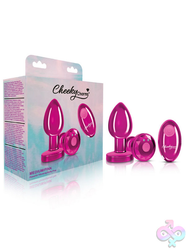 Viben Sex Toys - Remote Controlled Anal Vibes Remote Controlled Anal Vibes for Anal