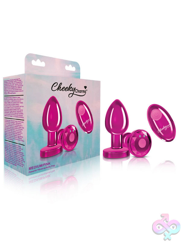 Viben Sex Toys - Remote Controlled Anal Vibes Remote Controlled Anal Vibes for Anal