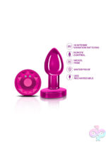 Remote Controlled Anal Vibes for Anal