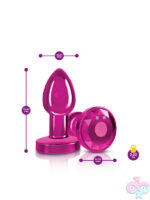 Remote Controlled Anal Vibes for Anal