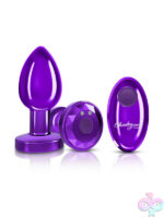 Remote Controlled Anal Vibes for Anal