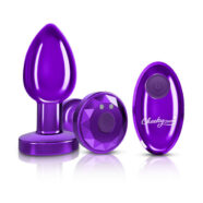 Remote Controlled Anal Vibes for Anal