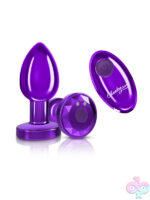 Remote Controlled Anal Vibes for Anal