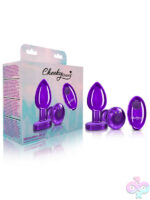 Remote Controlled Anal Vibes for Anal
