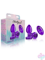 Remote Controlled Anal Vibes for Anal