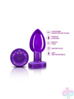 Remote Controlled Anal Vibes for Anal