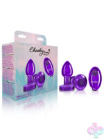 Remote Controlled Anal Vibes for Anal