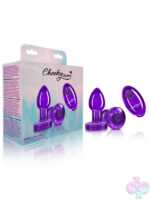 Remote Controlled Anal Vibes for Anal