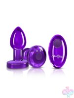 Remote Controlled Anal Vibes for Anal