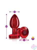 Remote Controlled Anal Vibes for Anal