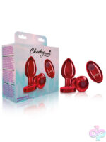 Remote Controlled Anal Vibes for Anal
