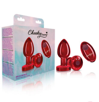 Remote Controlled Anal Vibes for Anal