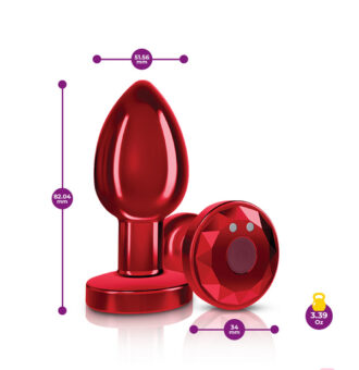 Remote Controlled Anal Vibes for Anal