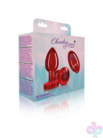 Remote Controlled Anal Vibes for Anal