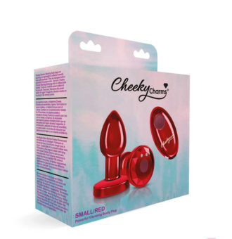 Remote Controlled Anal Vibes for Anal