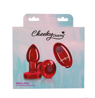 Remote Controlled Anal Vibes for Anal