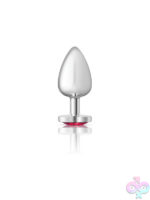 Anal Plugs for Anal