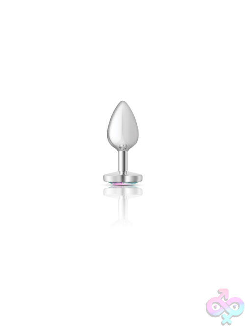 Anal Plugs for Anal