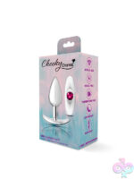 Anal Plugs for Anal