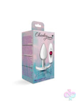 Anal Plugs for Anal