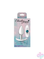 Silver Teal Clear Butt Plug Set - Image 8