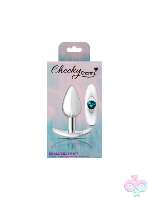 Silver Teal Clear Butt Plug Set - Image 8