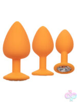Anal Expanders for Anal
