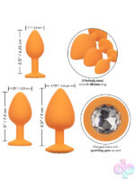 Anal Expanders for Anal