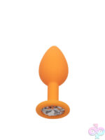Anal Expanders for Anal