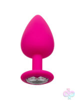 Anal Expanders for Anal