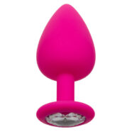 Anal Expanders for Anal