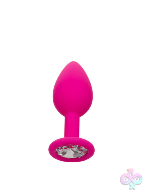 Anal Expanders for Anal