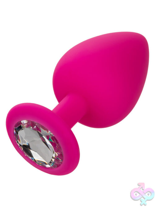 Anal Expanders for Anal