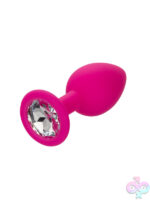 Anal Expanders for Anal
