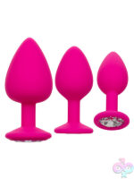 Anal Expanders for Anal