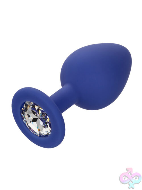 Anal Expanders for Anal