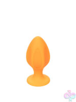 Anal Kits for Anal