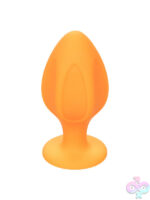 Anal Kits for Anal