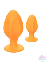 Anal Kits for Anal