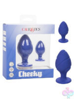 Anal Kits for Anal