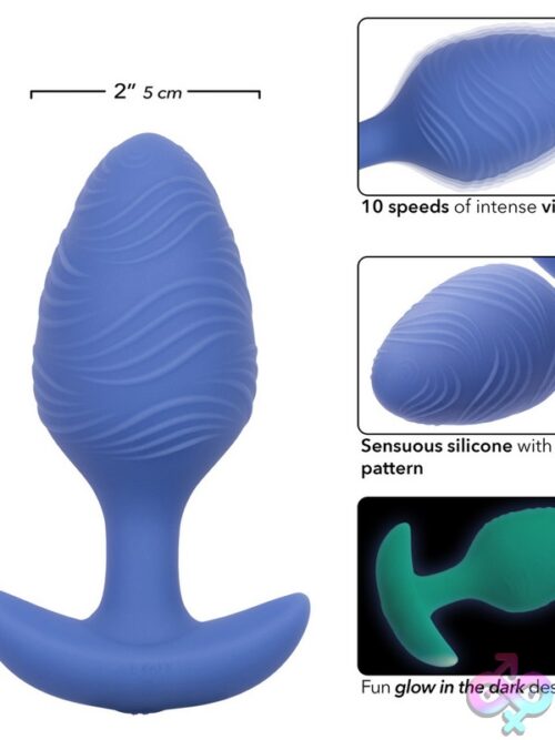 Cheeky Vibrating Glow-In-The-Dark Large Butt Plug – Blue - Image 3