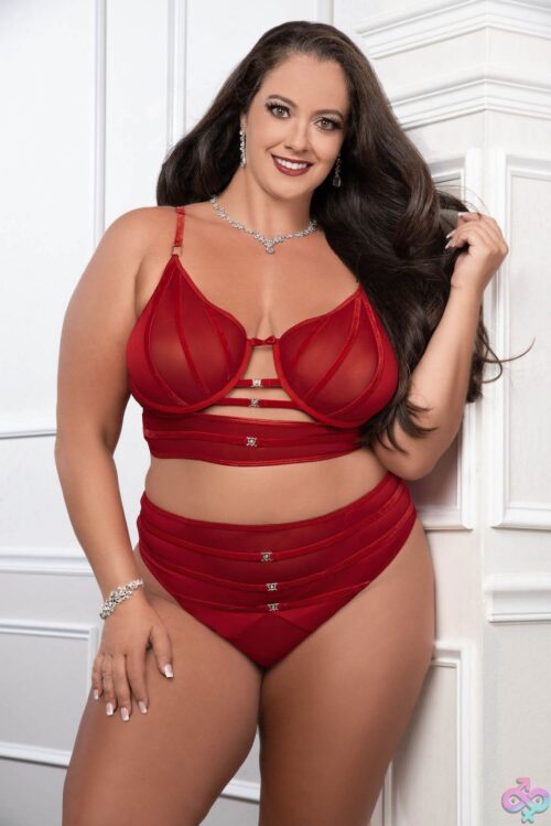 Cinnamon Red 2Pc Satin Bra And High Waist Panty - Image 2