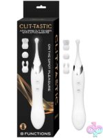 Dual-ended white rechargeable clitoral teaser with brush, bunny ear, and textured attachments by Nasstoys
